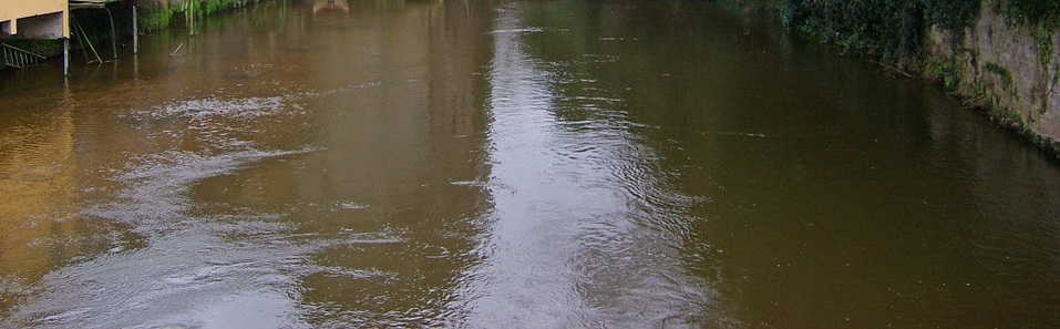 Environmental Issues
